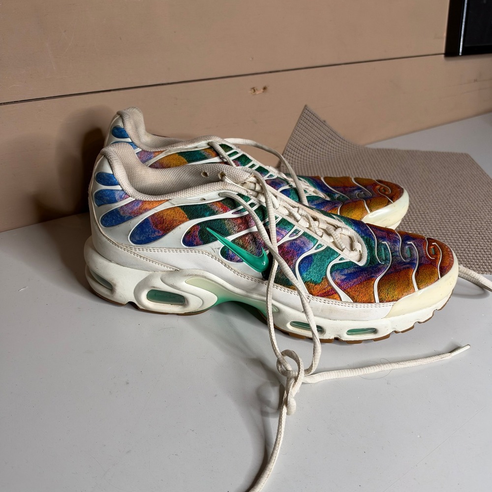 Nike Air Max Plus TN SE Greedy Multi-Color AR1949-100 Mens Size 13